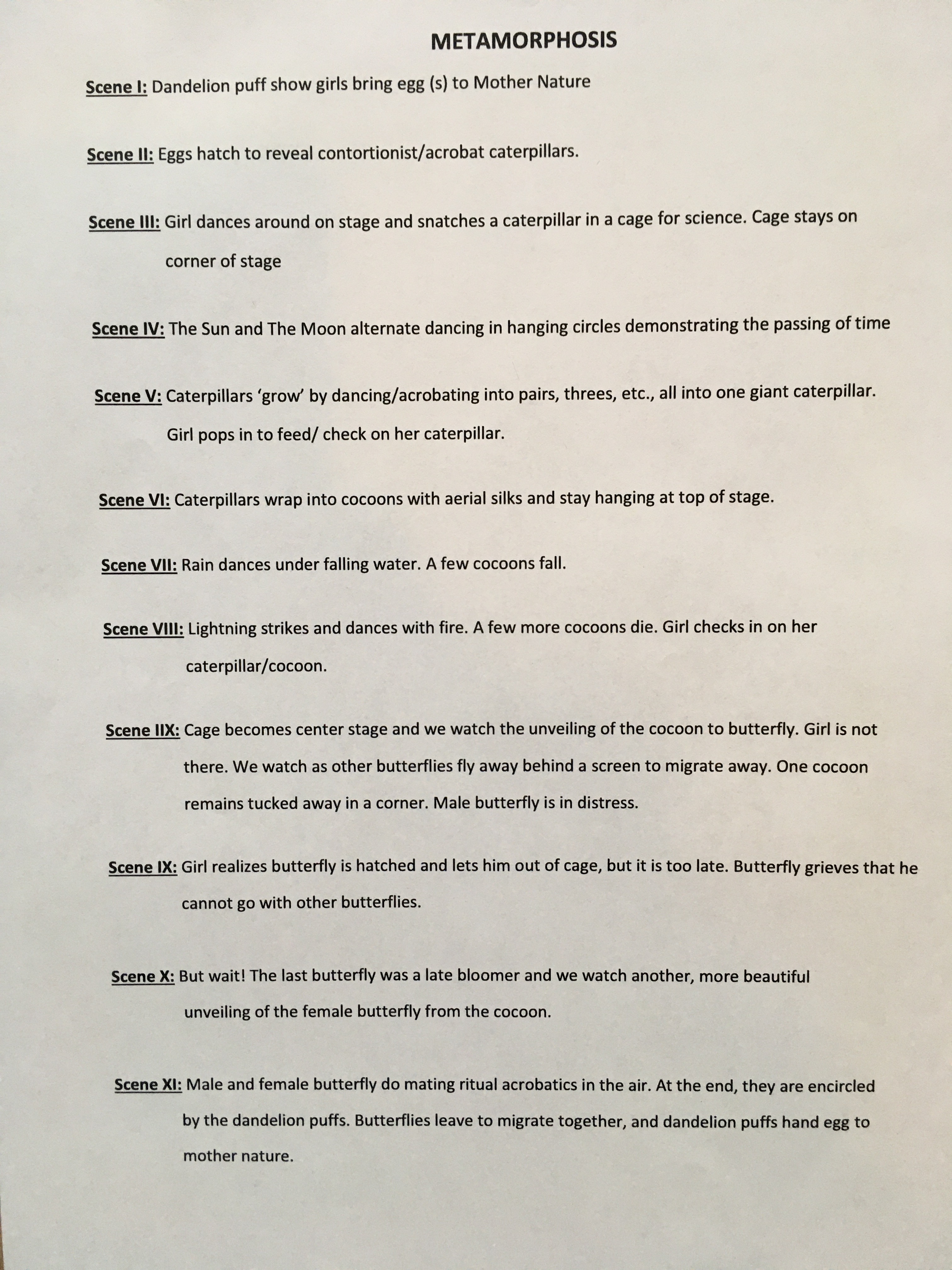 Metamorphosis synopsis