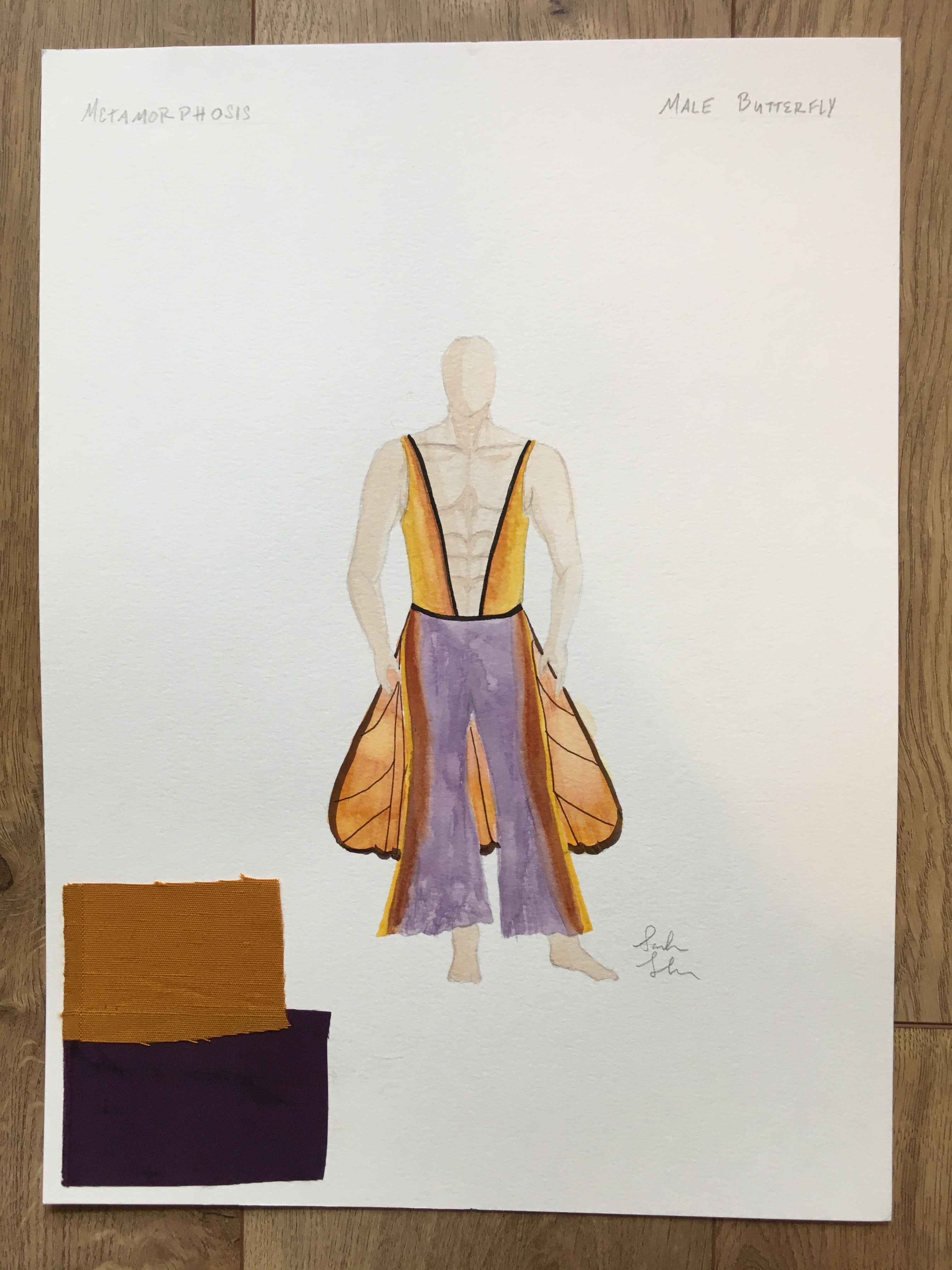 metamorphosis male butterfly costume design